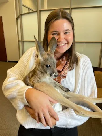 Colliers_AL's tweet photo. Our #Colliers #propertymanagement team at One Federal Place enjoyed a bit of team bonding with a baby kangaroo yesterday. The kangaroo is 8 months old and just out of mom's pouch. #teambuilding #office #kangarootime https://t.co/iZEXR725Gz