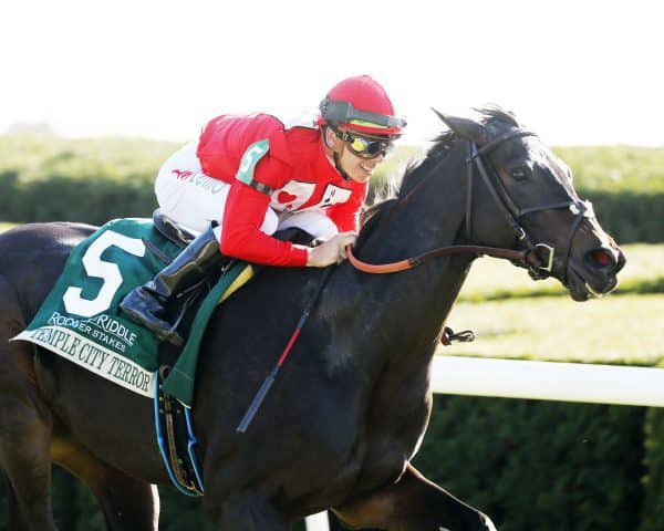 BowaCarpetClean's tweet photo. @mig4450 you said a few weeks ago and I just realized how right you are that horses who stay up in Saratoga and continue training on the grass are doing very well. https://t.co/KEgZDYDdzG