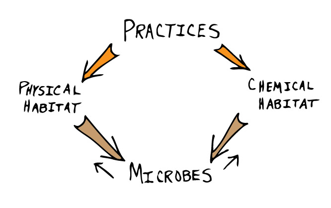 Andrew McGuire tweet media