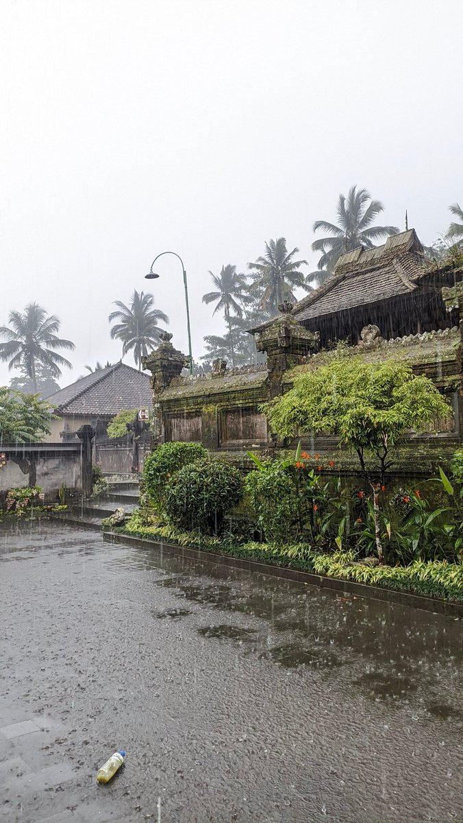 mt after dm • tweet media