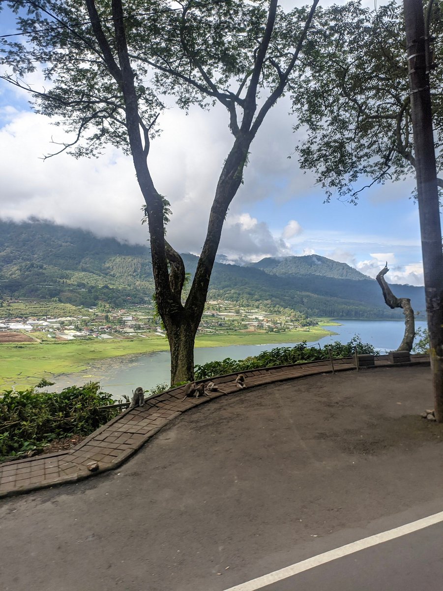 mt after dm • tweet media