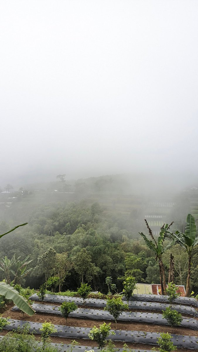 mt after dm • tweet media