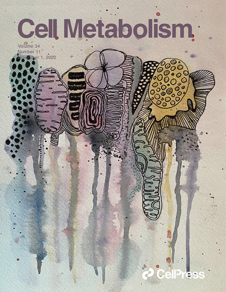 sofia ahola tweet media