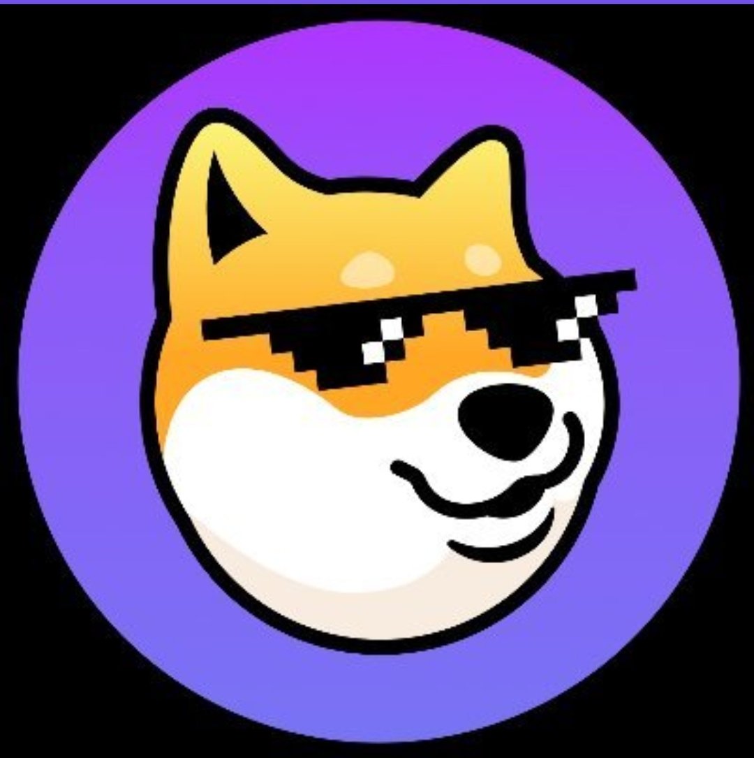 Orhan33115262's tweet photo. @elonmusk We are waiting for the support of king👑👑 dogechain (dc) https://t.co/RnKCPEkoCG