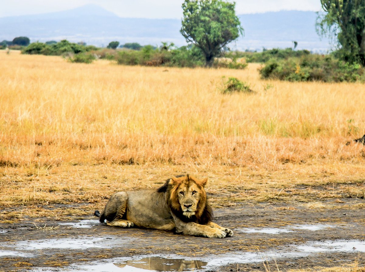 When Queen Elizabeth national park decides to gift us with views!!!