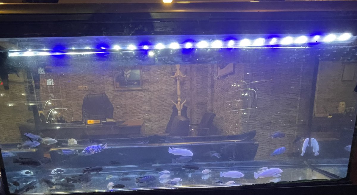 Kafamdaki orantısız fikir trafigi temsili…