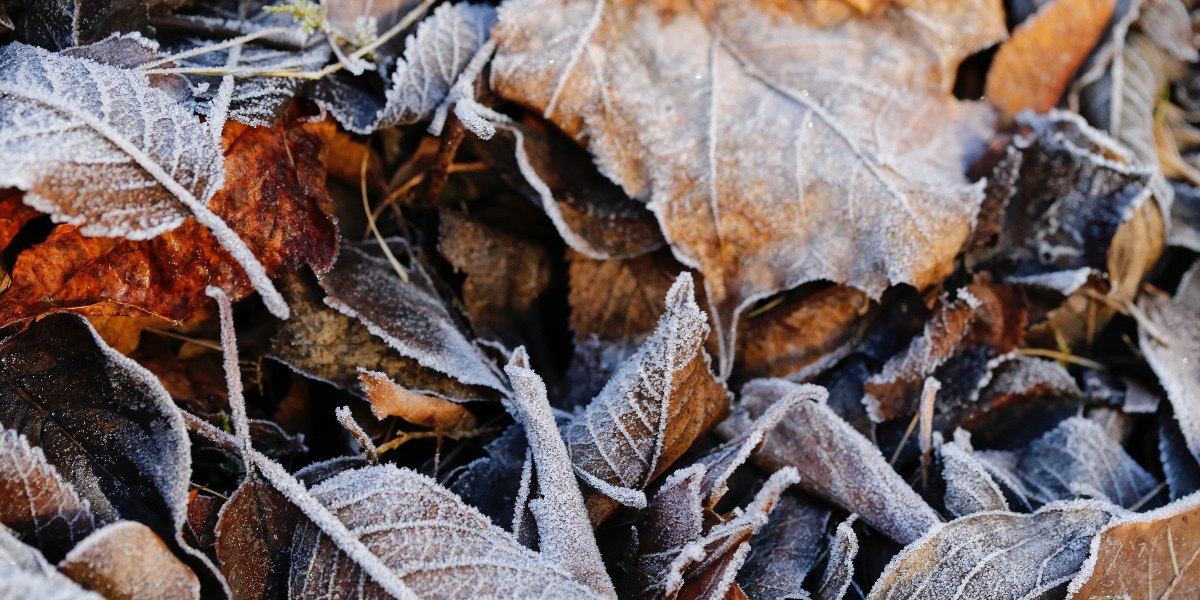 ELITECR_LLC's tweet photo. It's that time of year 🍂❄️ Happy November!  
#novembermood #firstdayofnovember https://t.co/nLYitqSUbc