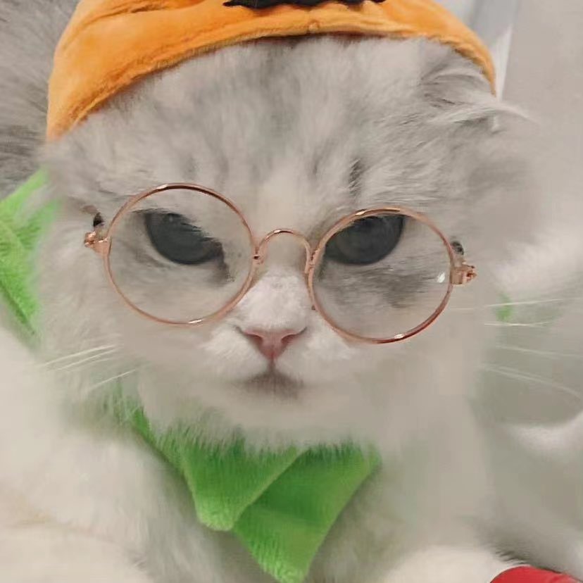 sqhy_fans_club's tweet photo. 【诗情画奕】🎃
Photos👉🏻口袋48app
Trick or treat 👻
(不给糖就捣蛋
#sqhy #cp #cat #pumpkin #budiu #diudiu https://t.co/Evfq8PAZ8n