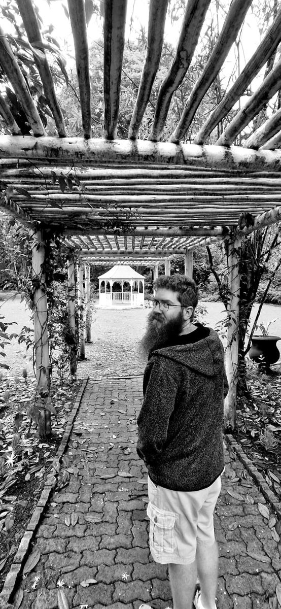 acdblab's tweet photo. Known for its champion Trees and striking Plane Tree Avenue, KwaZulu-Natal NBG is a must see! You might even be so lucky as to bump into our favourite gingerbeard man - Ross. #NBGMP https://t.co/TaAMflZivJ