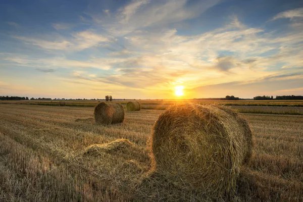 AGDirectHail's tweet photo. On behalf of AG Direct Hail, thank you to everyone that entrusted us with your crop coverage in 2022, see you in 2023! #prairieag #AGD https://t.co/1Pdf5nYt84