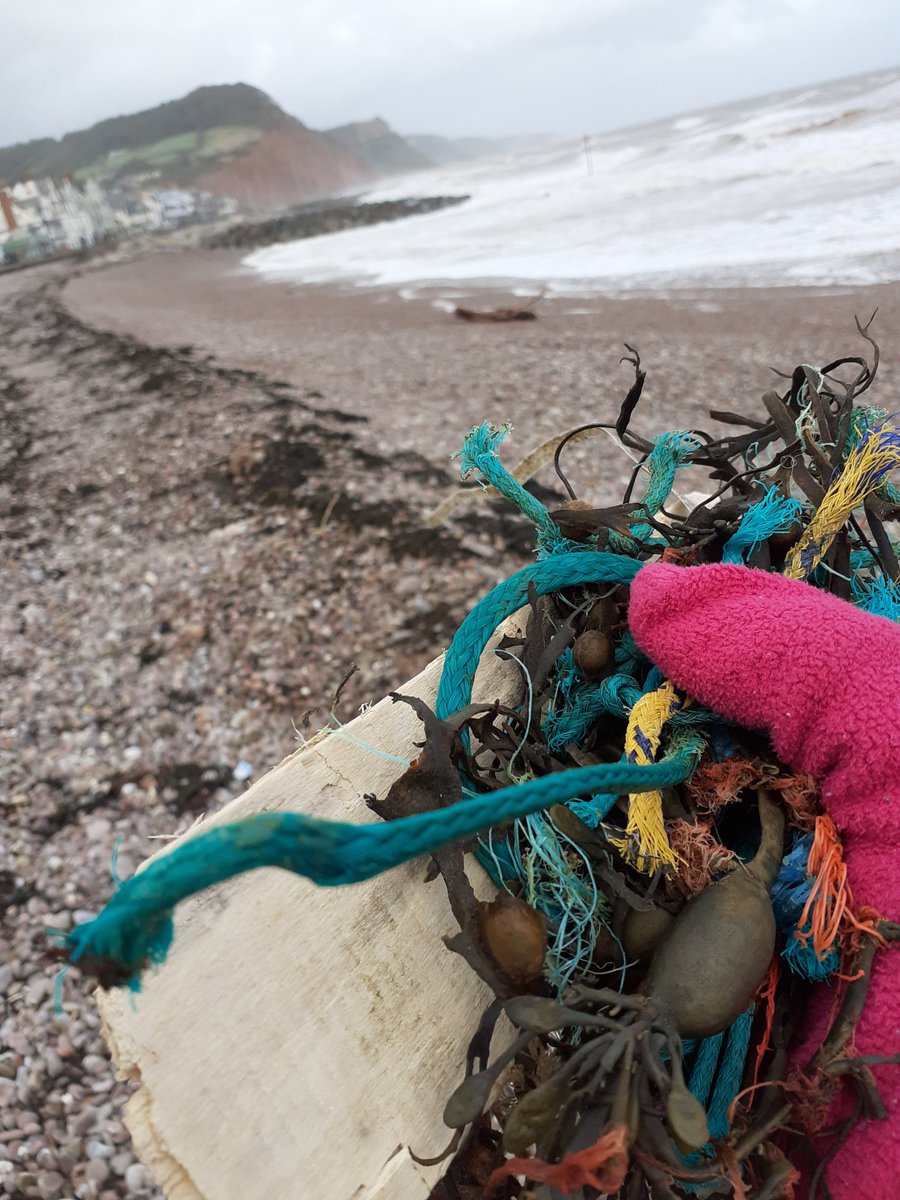 spaceonthehill's tweet photo. 5 minute #beachclean in Sidmouth today.  Lots of fishing cord plus a poppy stem @SidPlasticWar https://t.co/SOwFUcHz2r