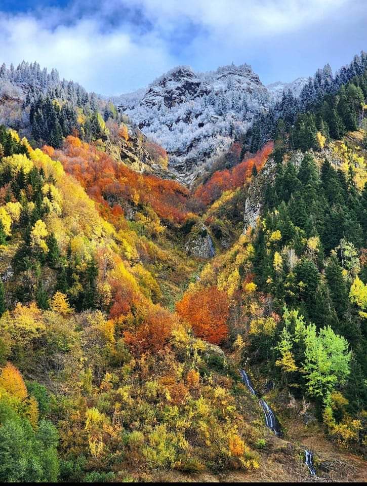 aydintufekci43's tweet photo. Artvin Şavşat'tan muhteşem bir sonbahar ve kar görseli.
🎬  Hanzade Duygu Demir https://t.co/N9z6I51Sva