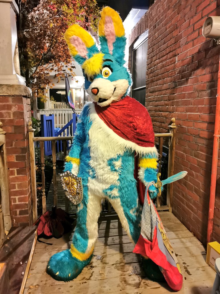 ArcticSkyWolf's tweet photo. The furry house was handing out candy last night for #Halloween2022! 🍬🎃

🐶 @RockyHudsonWolf @SpottedCasper @FloofyJack @ArcticDalmatian @ClouwyBun Basil by @GordonSFawks

🦈 @IKEA https://t.co/ZwNcsDtq73