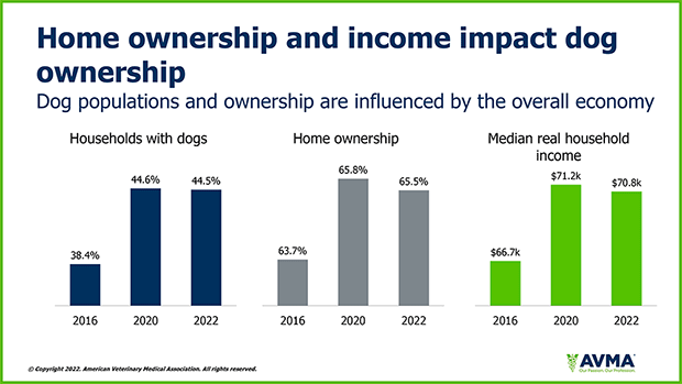 Tweet by AVMA (American Veterinary Medical Association)