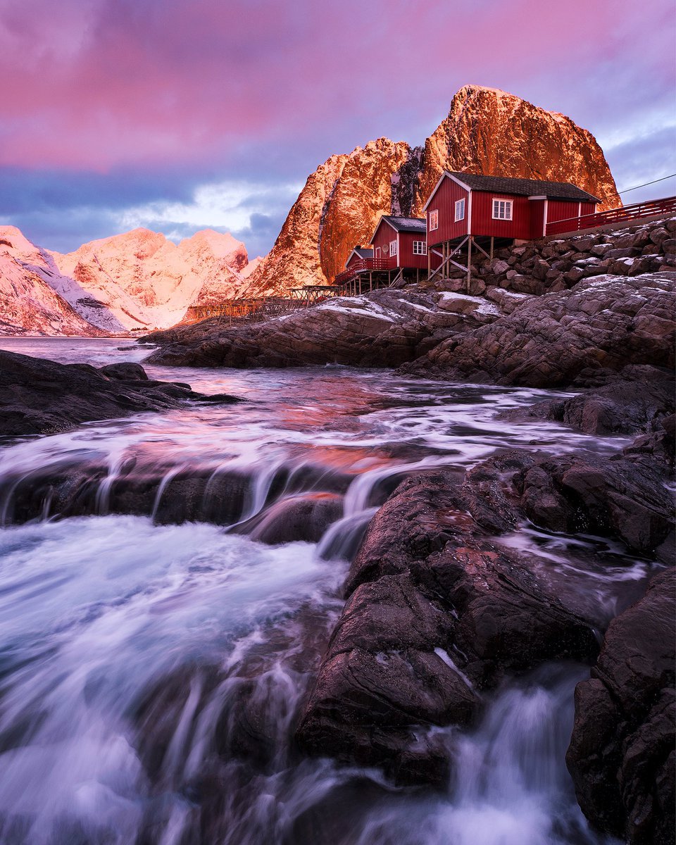 Felix 📷 tweet media