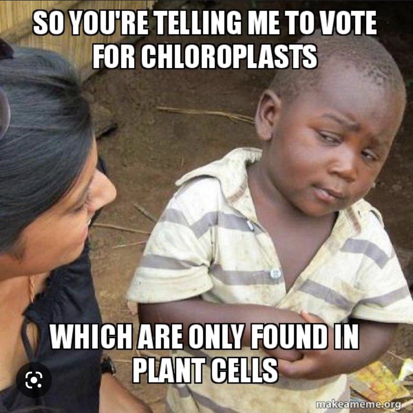 EC_MATRIXX's tweet photo. @HApbio #organellewars https://t.co/gW5tthdTMi