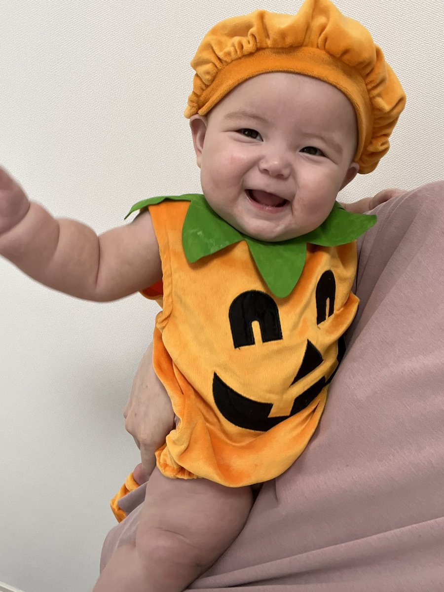 _____koyu's tweet photo. 可愛いよ🎃🧡可愛いんだけどさ、ちょっと太り過ぎじゃない？🐽まだ5ヶ月なのに9キロ越えって🐽 https://t.co/VFQ6ZWfzaC