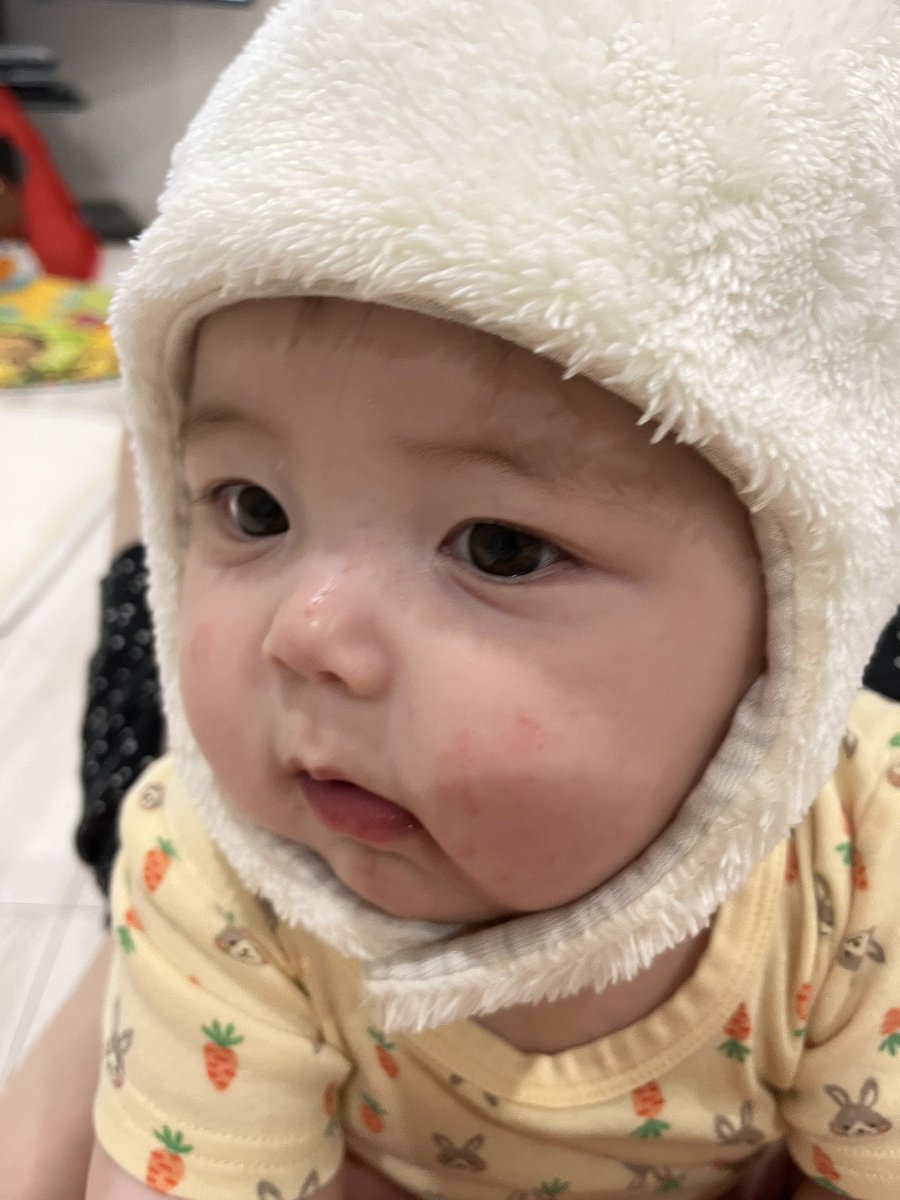 _____koyu's tweet photo. 可愛いよ🎃🧡可愛いんだけどさ、ちょっと太り過ぎじゃない？🐽まだ5ヶ月なのに9キロ越えって🐽 https://t.co/VFQ6ZWfzaC