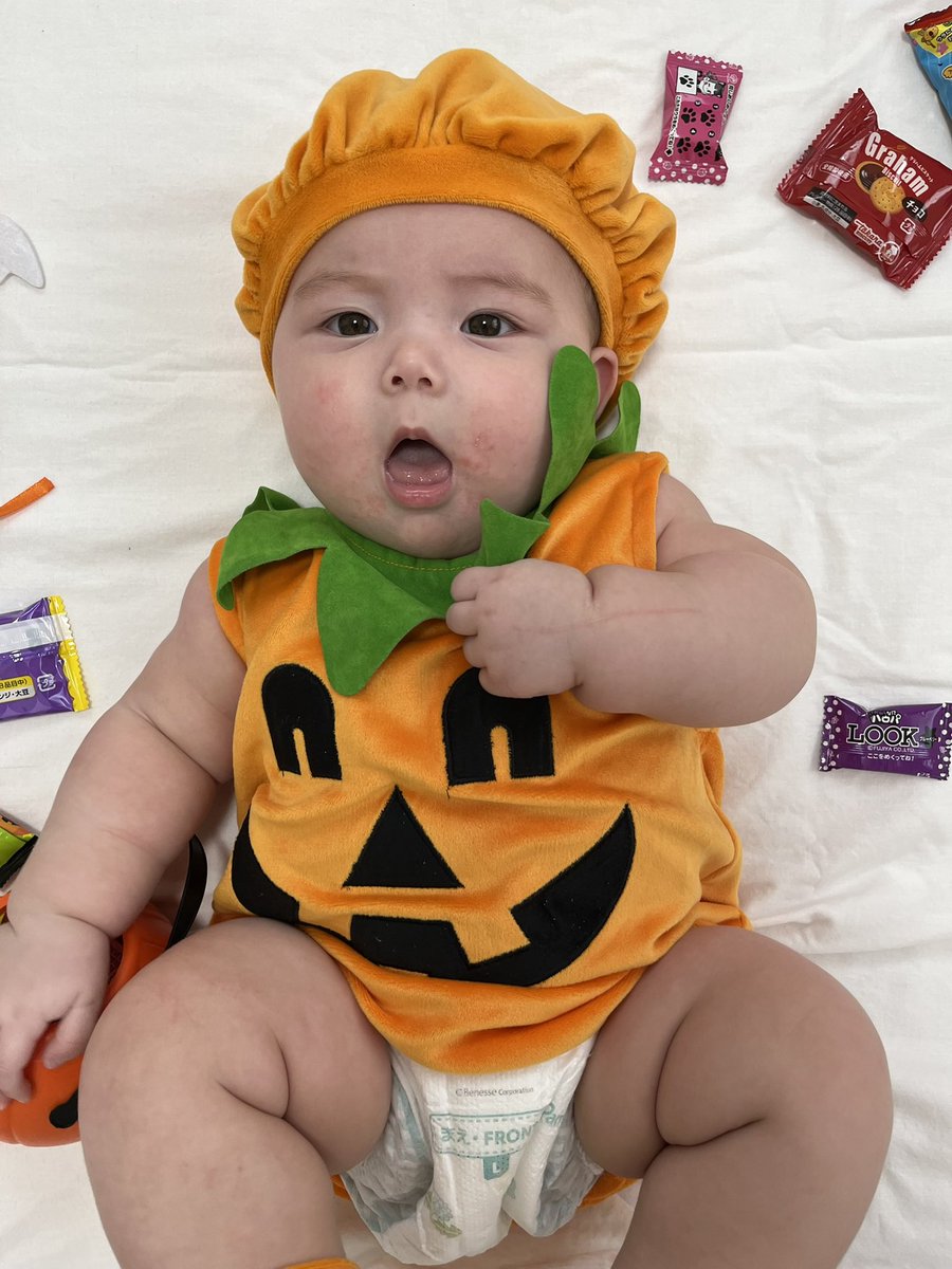 _____koyu's tweet photo. 可愛いよ🎃🧡可愛いんだけどさ、ちょっと太り過ぎじゃない？🐽まだ5ヶ月なのに9キロ越えって🐽 https://t.co/VFQ6ZWfzaC