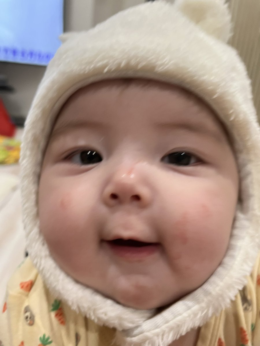 _____koyu's tweet photo. 可愛いよ🎃🧡可愛いんだけどさ、ちょっと太り過ぎじゃない？🐽まだ5ヶ月なのに9キロ越えって🐽 https://t.co/VFQ6ZWfzaC