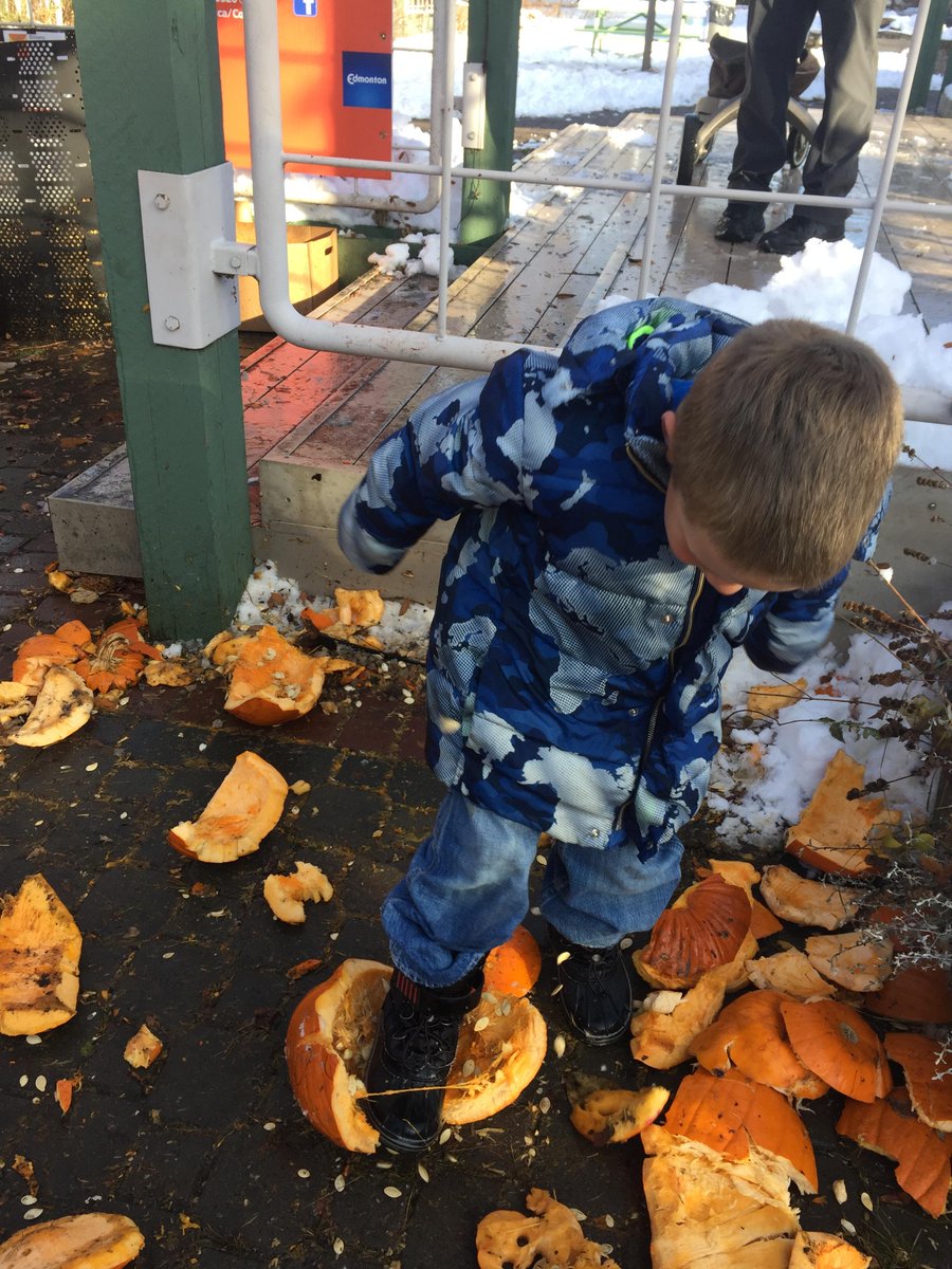 Halloween may be over, but the fun isn’t! Remember to save your jack-o’-lanterns for Pumpkin Smash! Visit Compost School on Saturday, November 5 from1-4pm and drop, bop, smash and bash your pumpkins and learn about how we turn them into compos