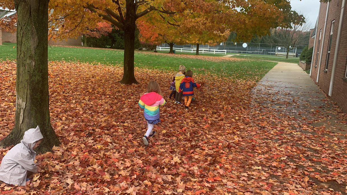 RanneyBeginners's tweet photo. Playing in the leaves! https://t.co/EkPLqAKDpp