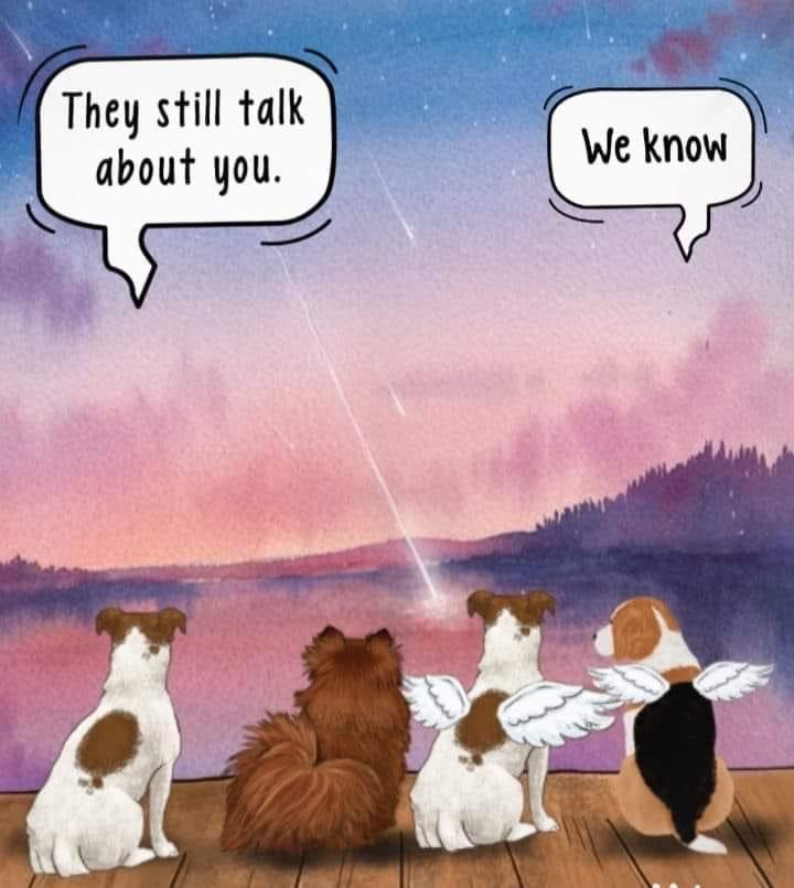 𝕄𝕣. ℂ𝕣𝕠𝕨 🐦‍⬛ tweet media