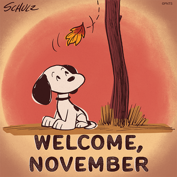 Welcome, November!