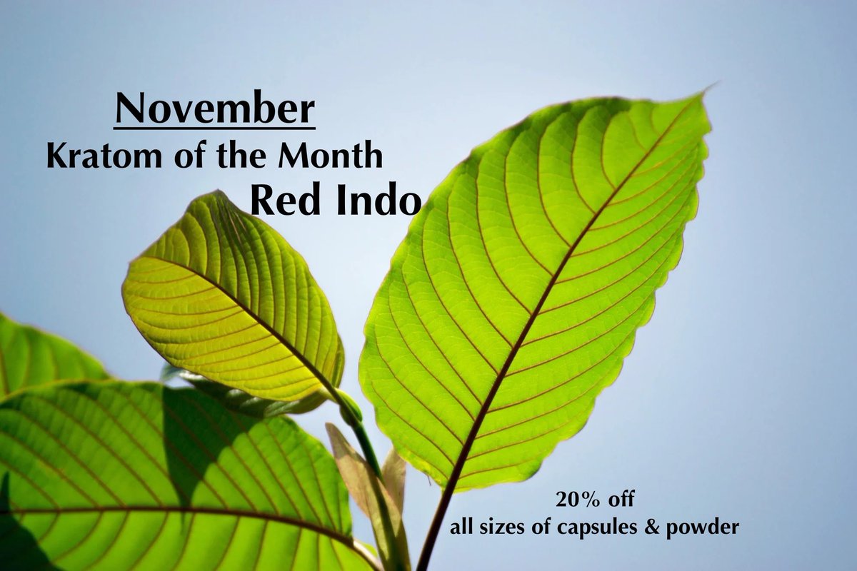 CloverKratom's tweet photo. November Special is Red Indo: 20 % off all sizes of powder and capsules.
#cloverkratom #kratomchicago #chicagolakeview #kratomofthemonth https://t.co/2Tvi2qvRma