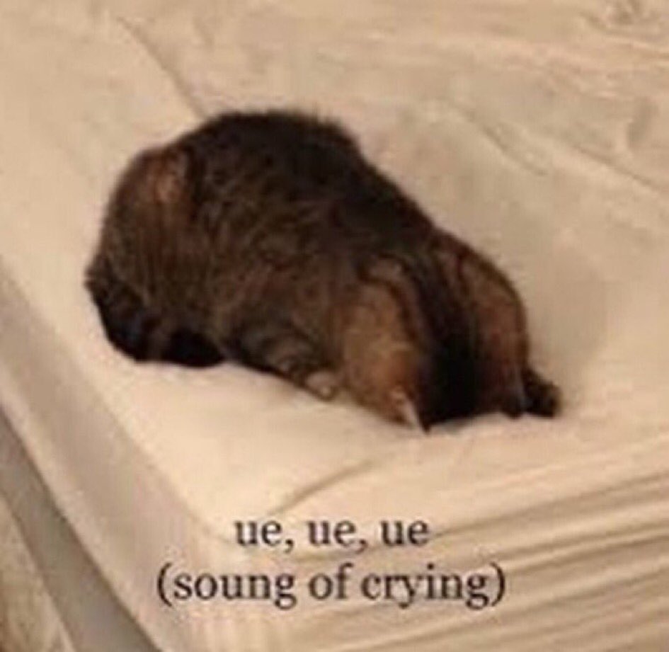 sapphic_f4ggot's tweet photo. ma il fatto che la prima stagione finisca con in sottofondo una canzone che parla di rivoluzione, che è proprio quello che wille finisce per fare e poi che la canzone finale della seconda parli di amore mi fa sciogliere l'anima #YoungRoyals2 https://t.co/FHwkKYOuk0
