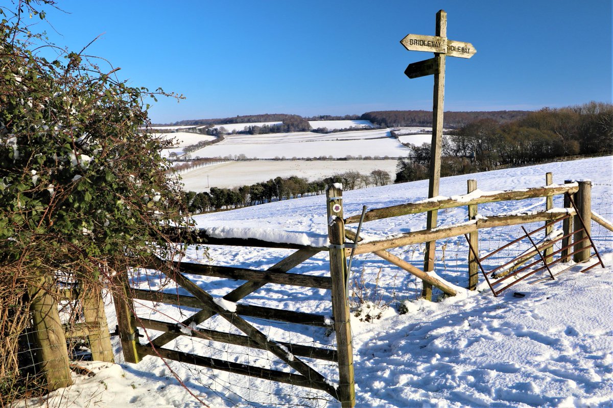 Our charity Christmas cards!

All of the 10 unique designs are local Hertfordshire scenes photographed 
by our volunteers. Only 70p each, buy online in any quantity desired at
cpreherts.org.uk/get-involved/m…