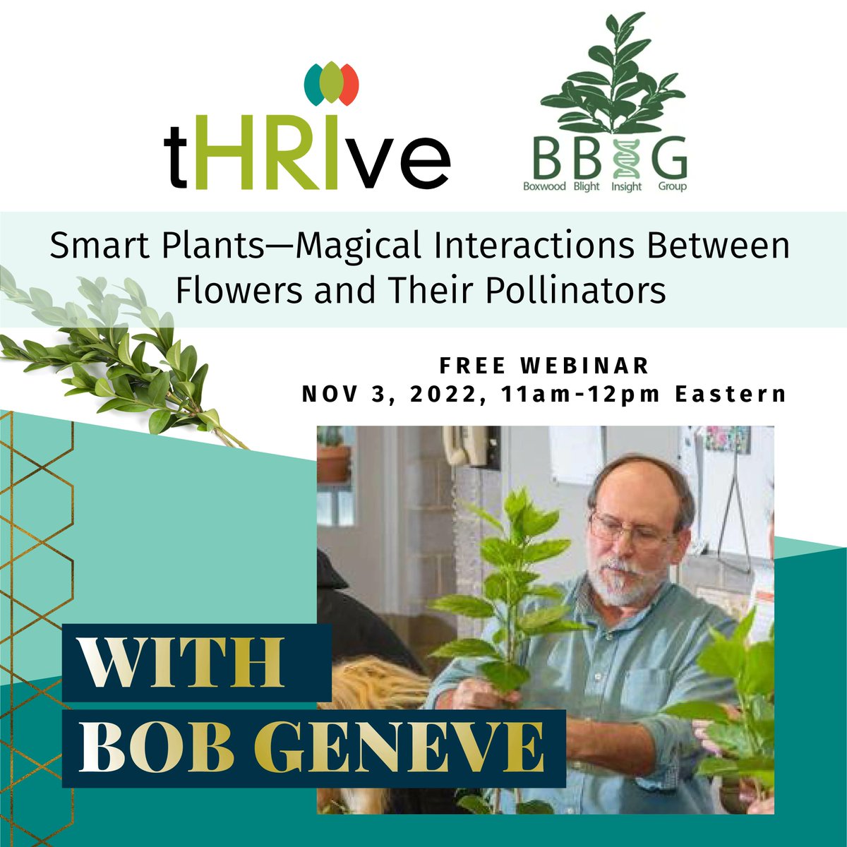Ready for another great tHRIve webinar? Join us Nov 3 at 11 am. for Smart Plants—Magical interactions between flowers and their pollinators! buff.ly/3TTs6wM Get a closer look at flower morphology and diversity as it relates to pollination.