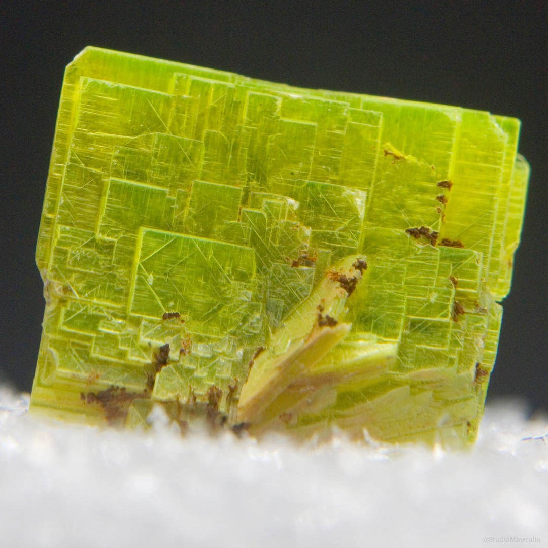 GeologyTime's tweet image. Brilliant, highly fluorescent yellow green crystals of Uranocircite, São Pedro claim, Malacacheta, Minas Gerais, Brazil. 

Photo credit: @StudioMineralia 

#minerals #crystals
