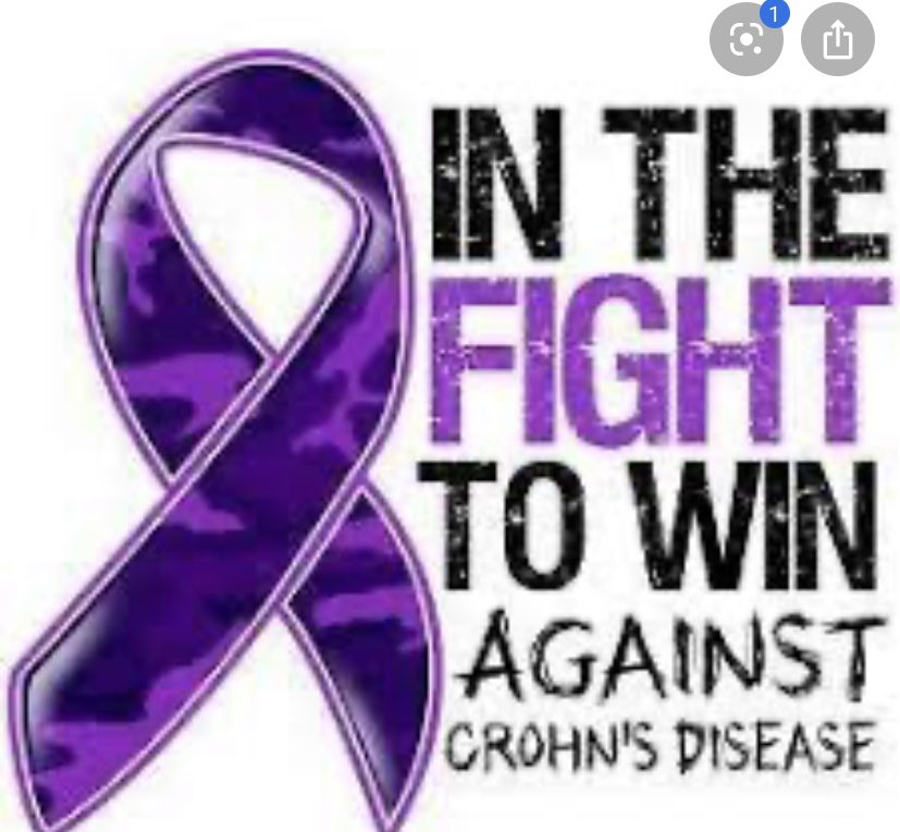 Colton FitzGerald tweet media