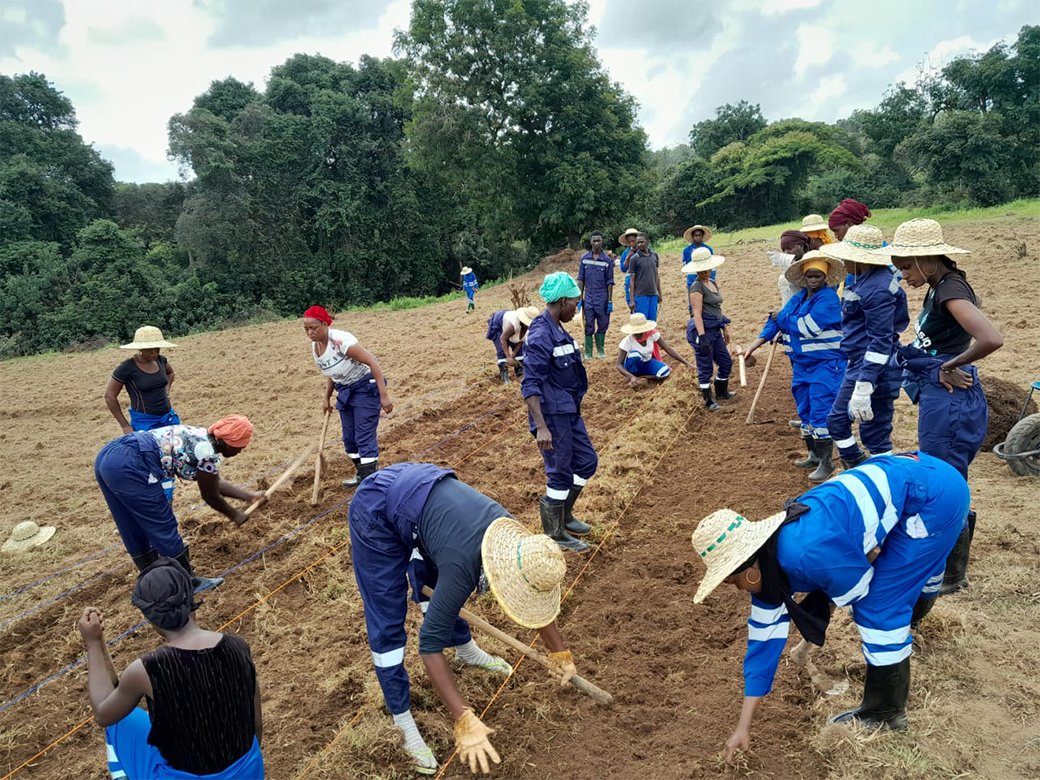 INTEGRA GUINÉE tweet media