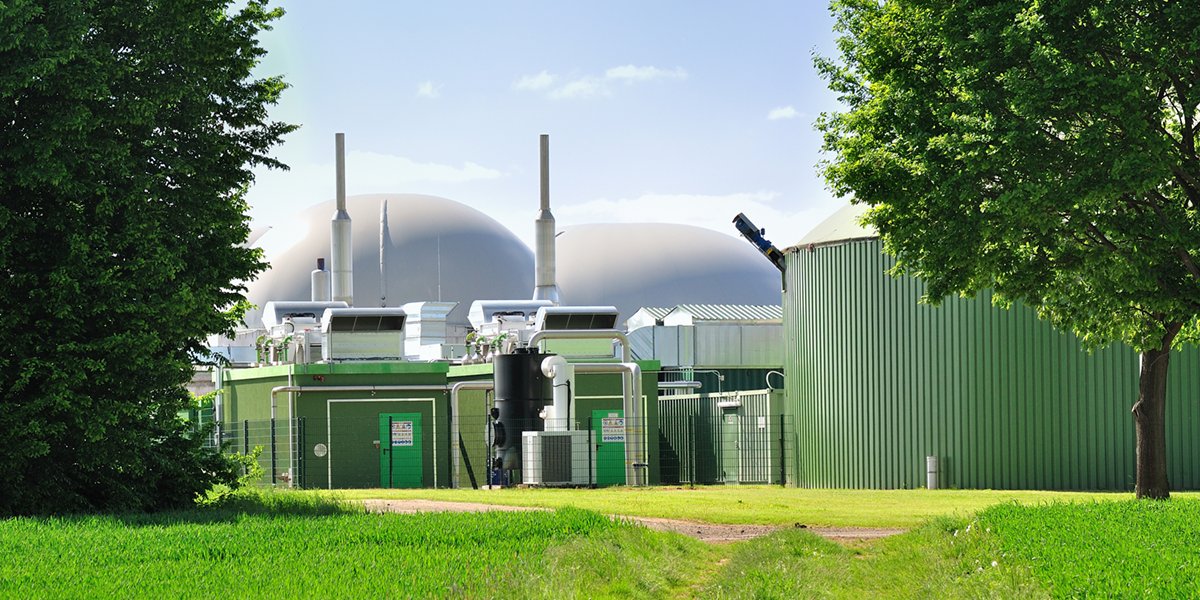 Uitbreiding biomethaan biedt lokale alternatieven voor geïmporteerd gas en kunstmest

biomassafeiten.nl/2022/11/01/uit…

#biogrondstoffen #biomethaan #REPowerEU