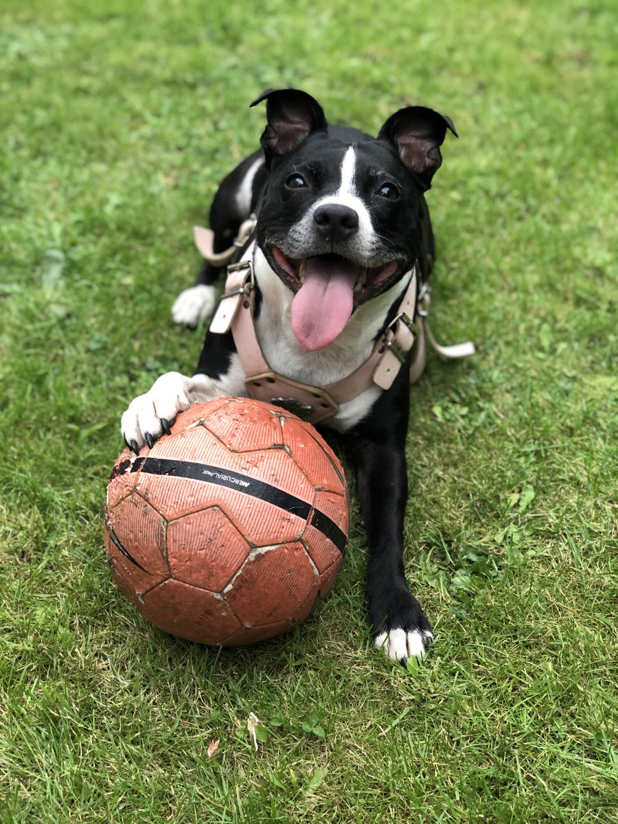 GAMBIT👽 tweet media