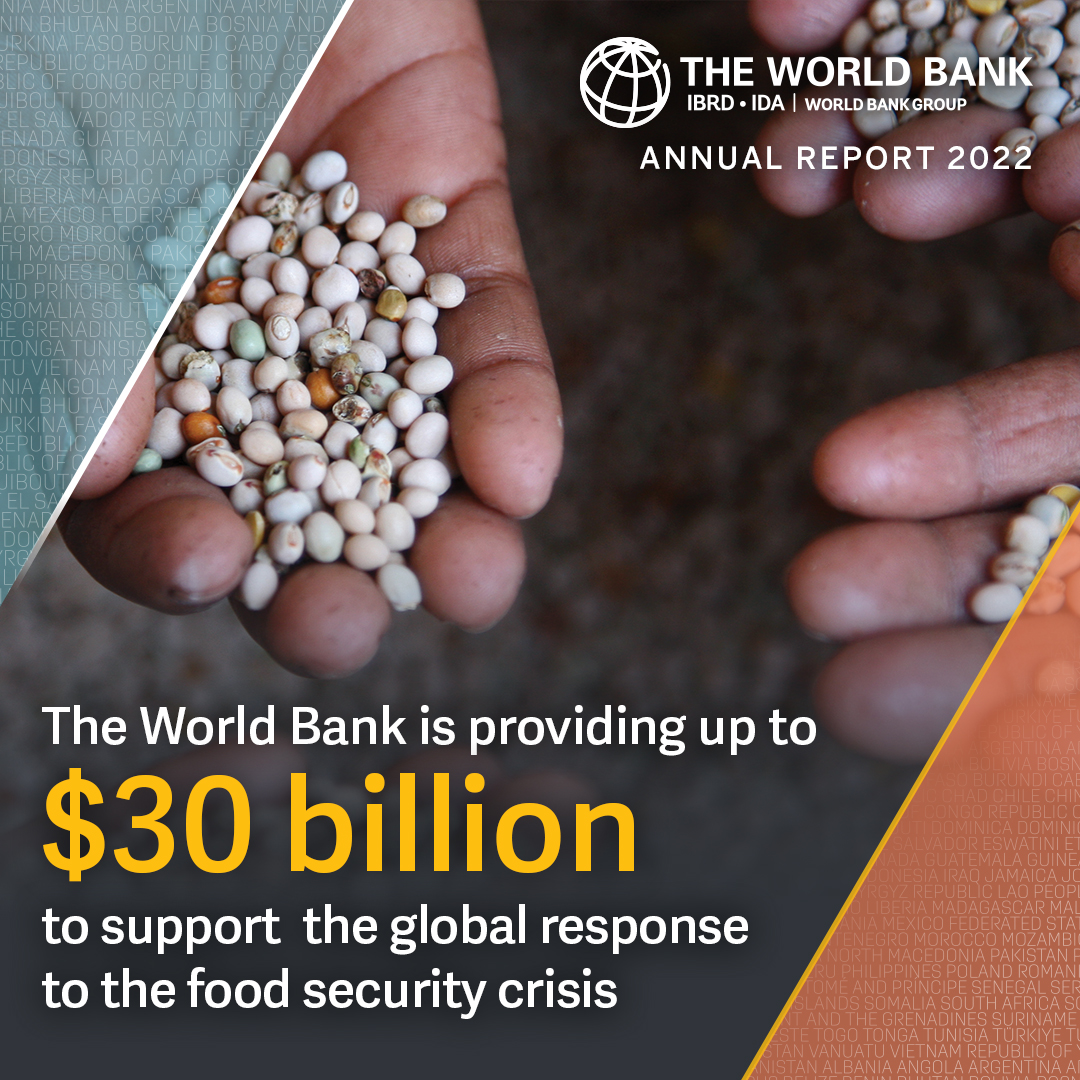 Up to $30 billion in existing and new projects to support the global response to the #foodsecurity crisis. Learn more in the Annual Report 2022: wrld.bg/KFtl50Lq6ay