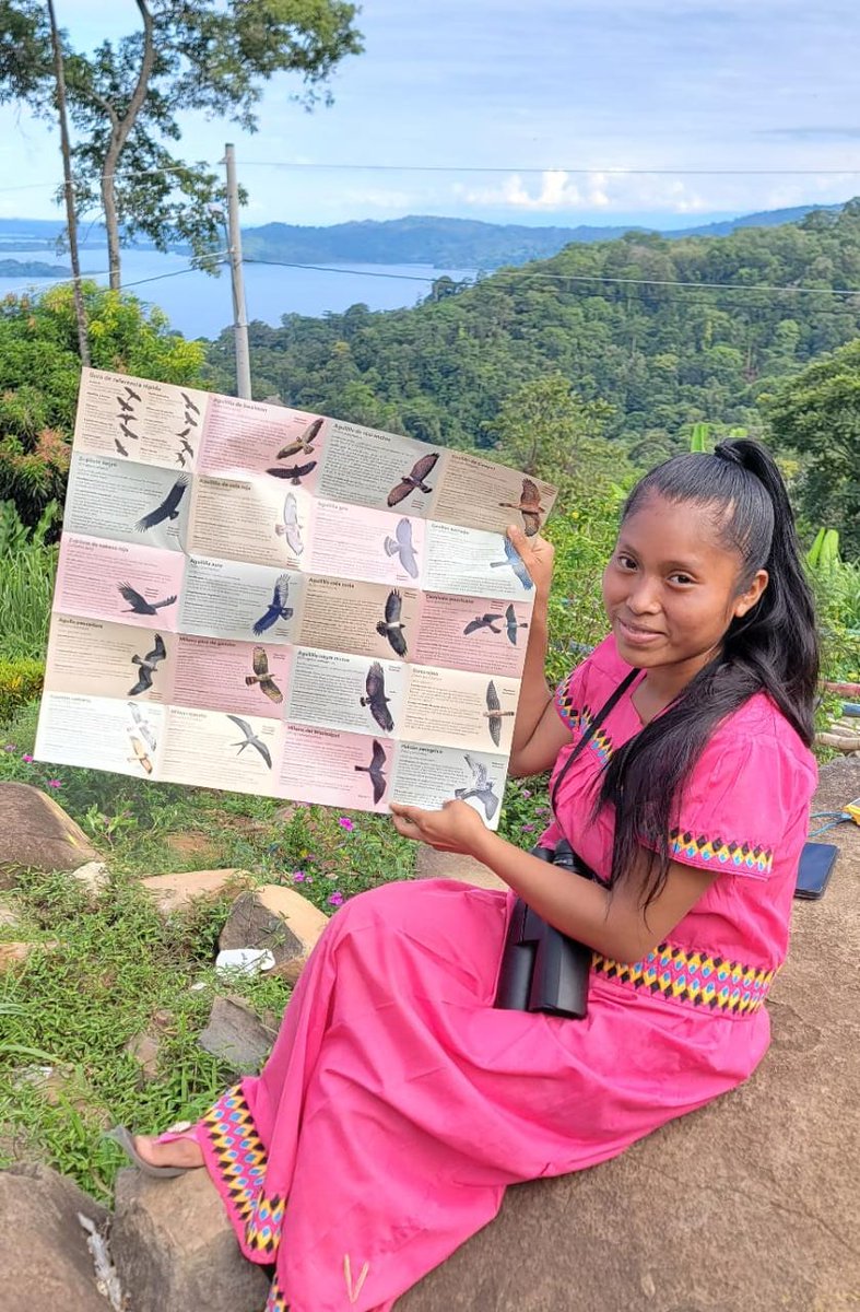 adoptabosque's tweet photo. Our deepest gratitude to Hawk Mountain Sanctuary Association @Hawk_Mountain for providing an extremely valuable educational tool used at the #BocasHawkWatch and during the First Migratory Raptor Festival, with participation of mostly Ngäbe indigenous people https://t.co/IKROc8iVcj
