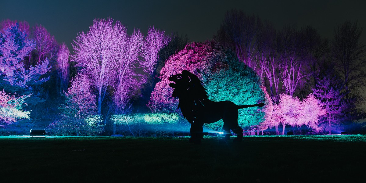 10 DAYS TO GO! Not much longer until we welcome you all to the Enchanted Woodland. 

Who's excited?

We cannot wait for everyone to see what we have in store for you this year!

Book your tickets: fal.cn/3texR

#SyonPark #novemberevents #whatsonlondon #londonpark