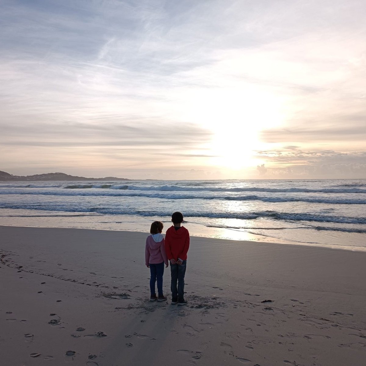 Marcos Muiňos Docampo tweet media