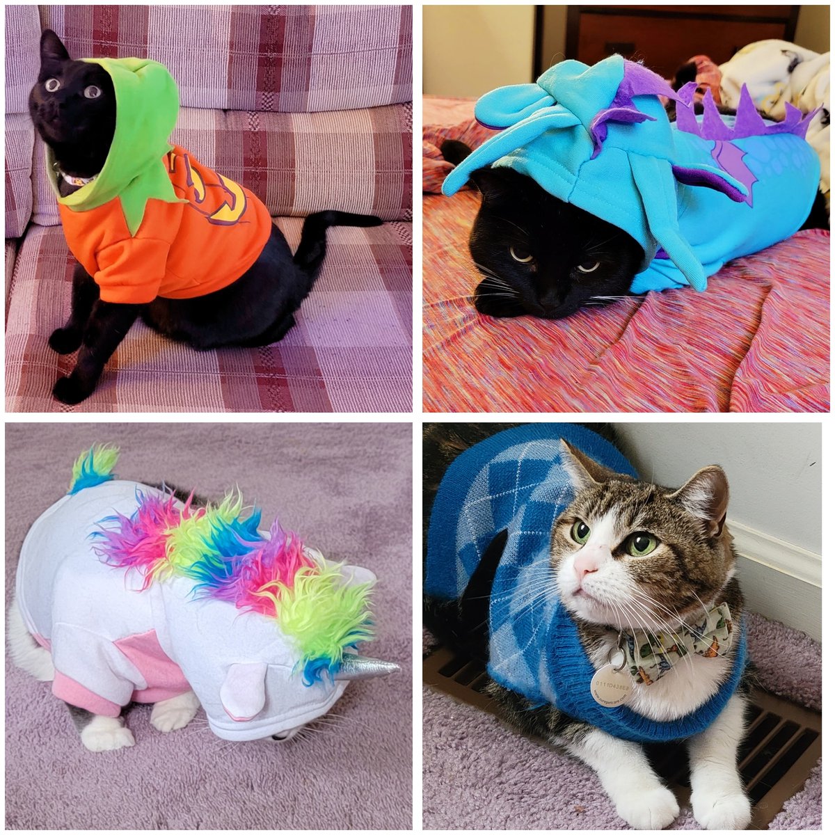 JamieMaletz's tweet photo. Happy Halloween from #bubbline and the Chaos Squad! #Halloween2022 #CatsofTwittter https://t.co/eP33b7vRrY