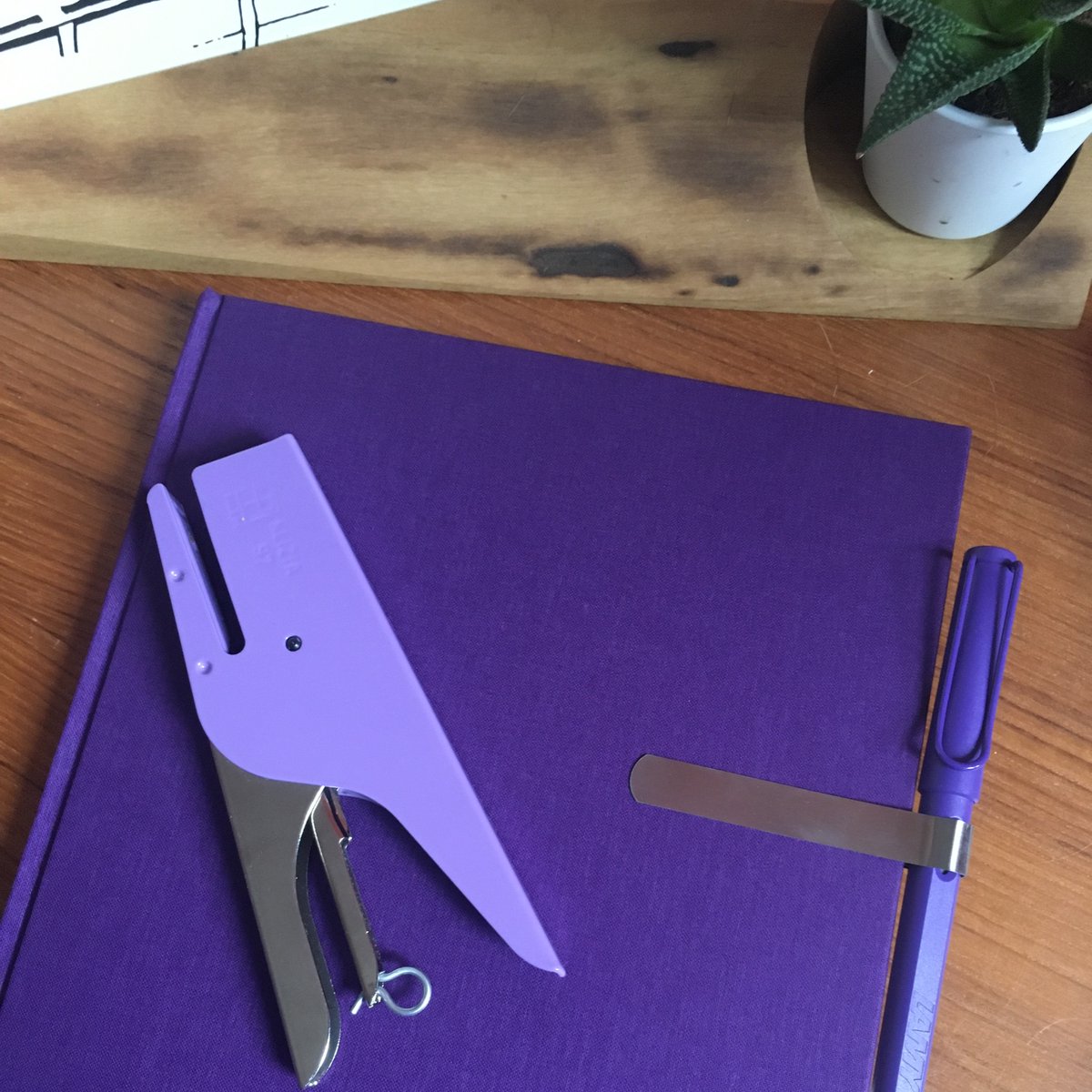 Thea Williams tweet media