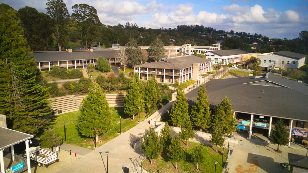 Lookout Santa Cruz tweet media