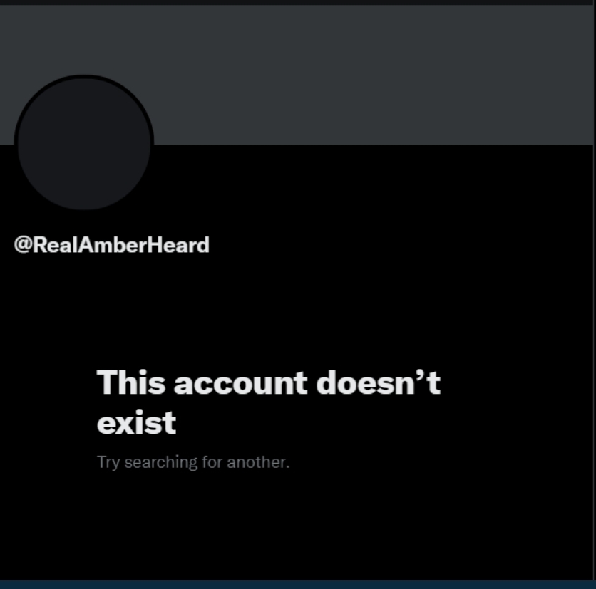 ThatUmbrella's tweet photo. Amber Heard has deleted her Twitter. https://t.co/yrFGpLirh9
