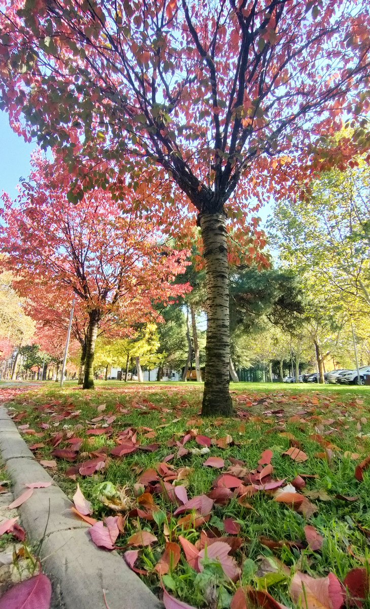 Hoş gel kasım 🍂🍁💫