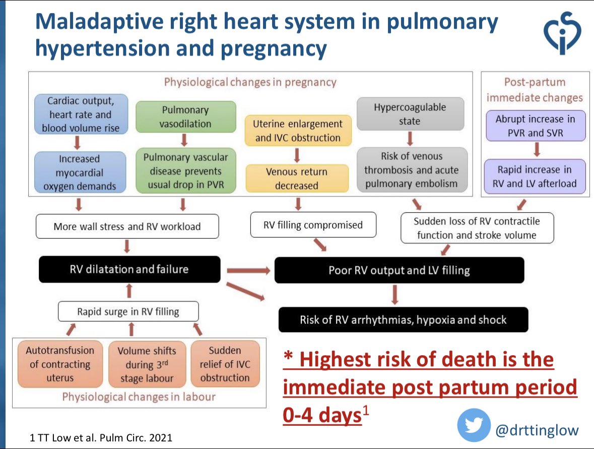 drttinglow's tweet photo. Throwback: How cool is it that @CSIcongress #CSIAP2022 🇹🇭 included a section on #PregnancyHeartDisease! When or how should u intervene for #AtrialSeptalDefect in #pregnancy?

#ACHD #congenital #CardioObstetrics #PulmonaryHypertension #Cardiology #CardioTwitter #CardioEd #NUHCS 🇸🇬 https://t.co/oNZZUkF1XW