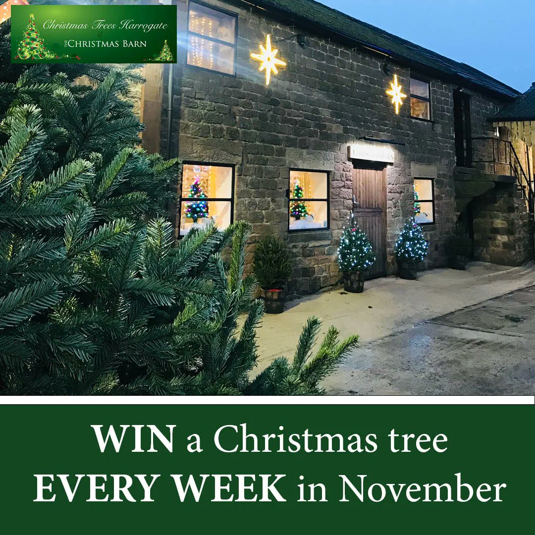 The Stray Ferret on Twitter "🎄WIN a Christmas tree every week this