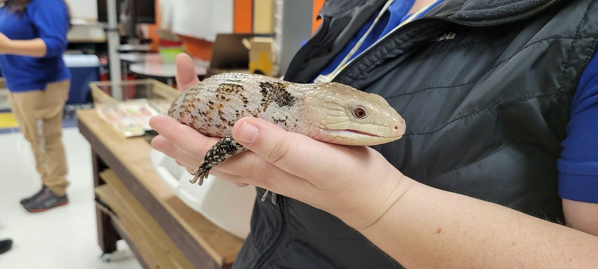 East Ridge Elementary eLab tweet media