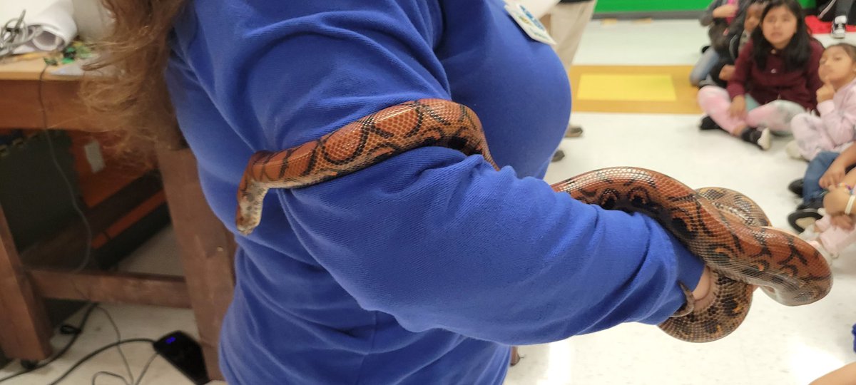 East Ridge Elementary eLab tweet media